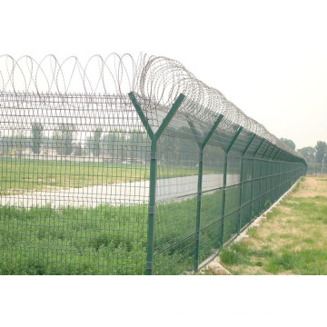 Y-Type Chain Link Mesh Fence with Razor Barbed Wire